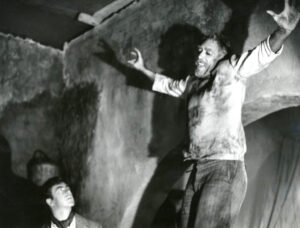 Read more about the article Zorba the Greek