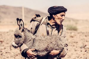Read more about the article Photography Exhibition "On the Move" | Discovering the practice of transhumance in the Mediterranean