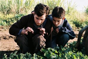 Read more about the article "Mabul"