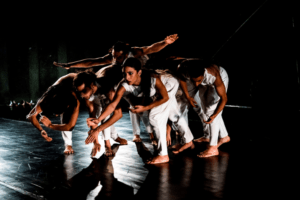 Read more about the article ΑΛΟΓΑ